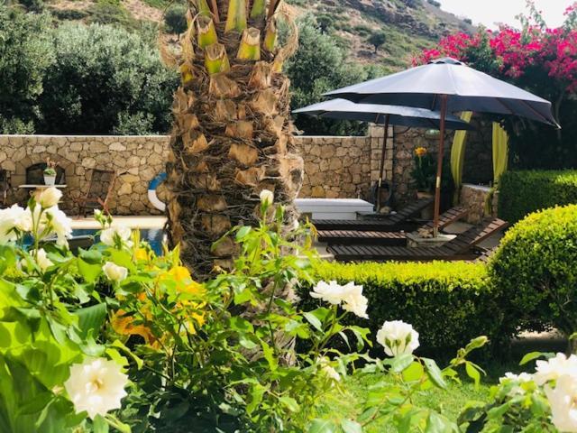 La Bastide Διαμέρισμα Σκύρος Εξωτερικό φωτογραφία